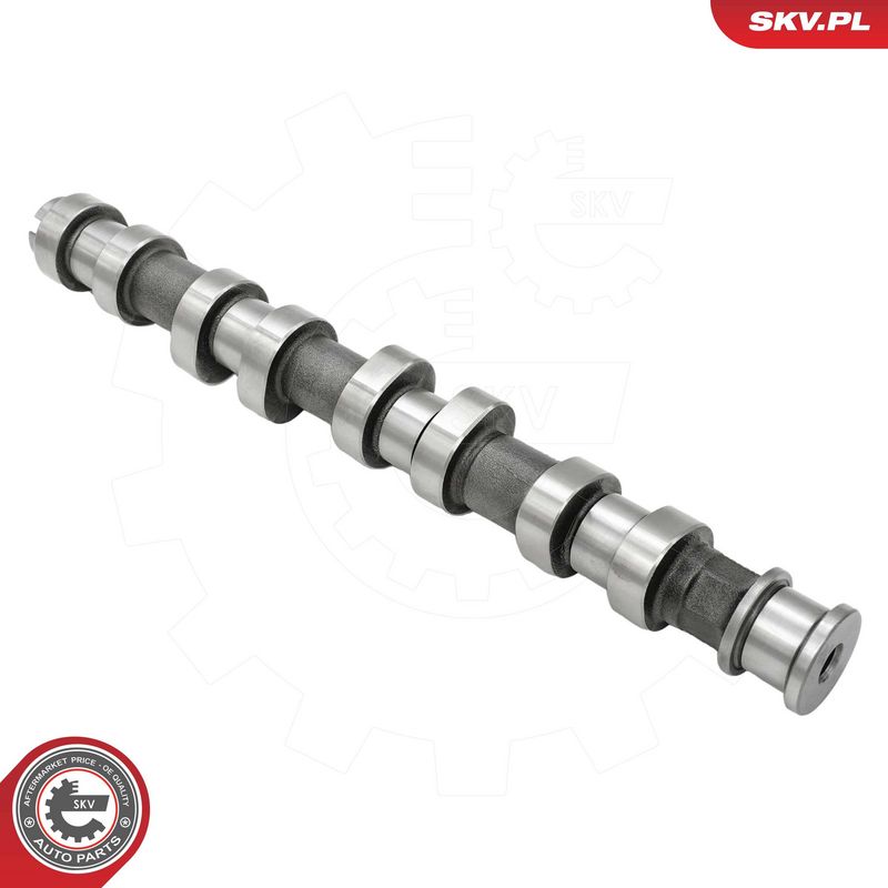 Nukkvõll, ESEN SKV 80SKV014