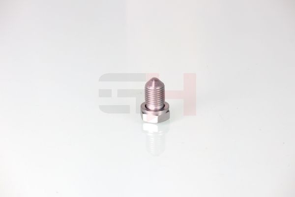 GH GH-399900 Screw Plug, oil sump