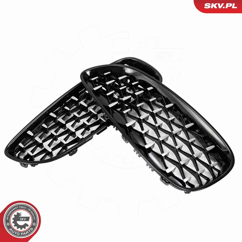 Radiaatorivõre, ESEN SKV 66SKV313