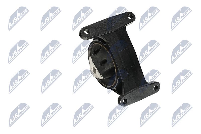 Paigutus, Mootor, NTY ZPS-CH-006