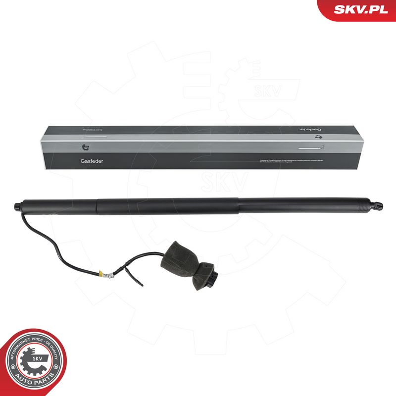 Elektrimootor, tagaluuk, ESEN SKV 52SKV891