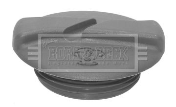 Tapón, depósito de refrigerante