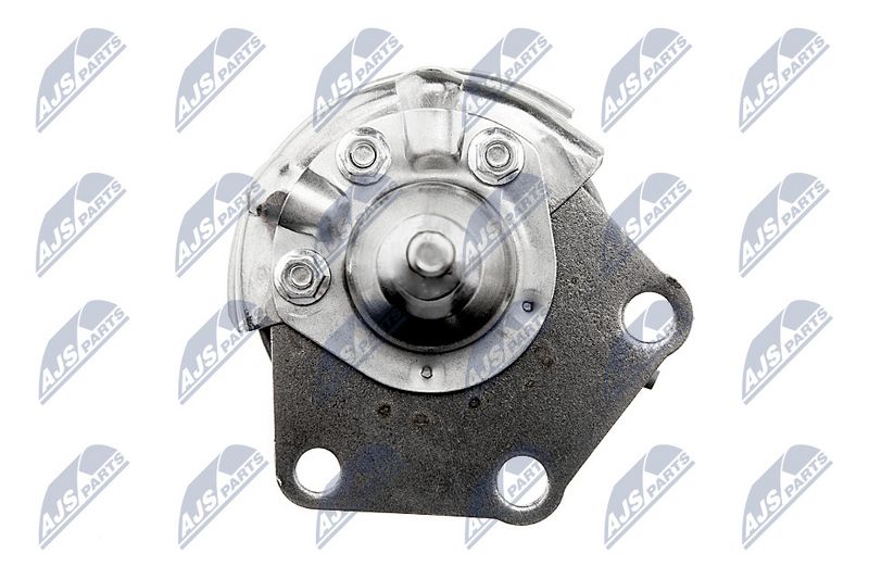 ecd-vw-010_5-wm.JPG