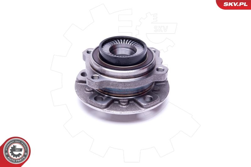 ESEN SKV 29SKV400 Wheel Bearing Kit