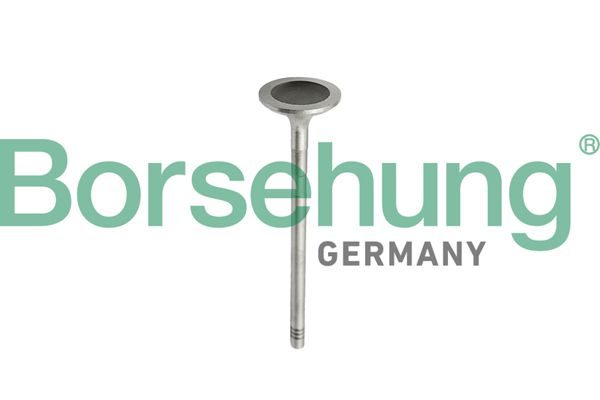 Sisselaskeventiil, Borsehung B10343