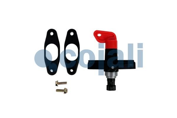 Hauptschalter, Batterie