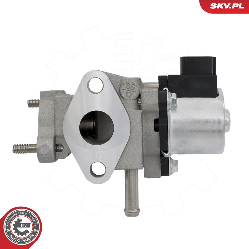 EGR-klapp, ESEN SKV 14SKV319