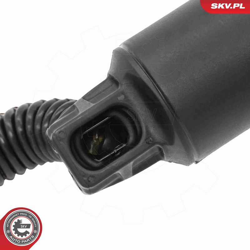 ESEN SKV 52SKV197 Electric Motor, tailgate