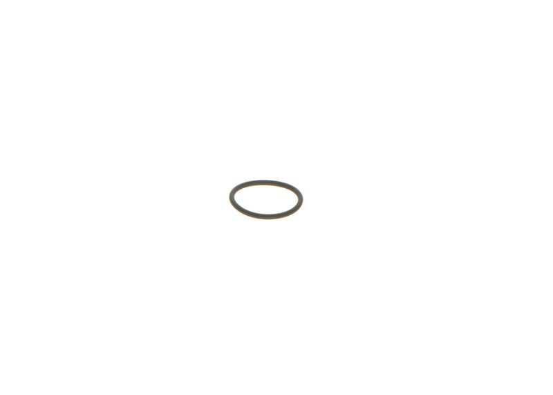 BOSCH 1928300277 Rubber Ring