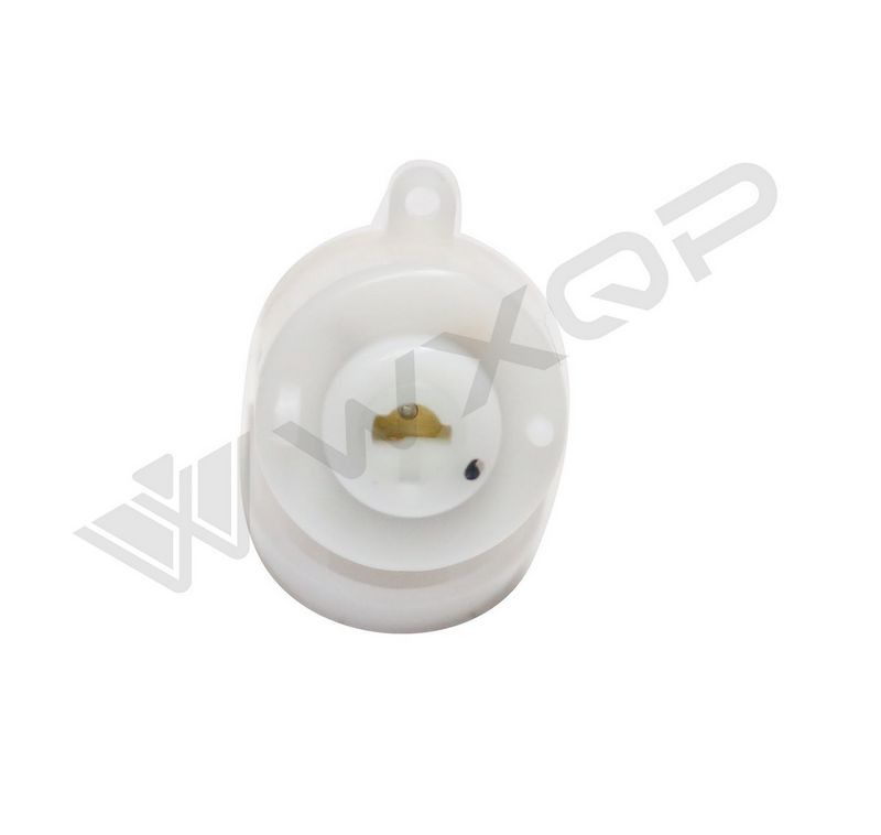 WXQP 350681 Ignition Switch