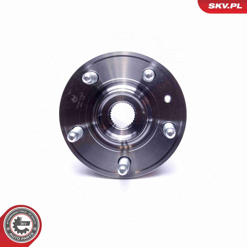 ESEN SKV 29SKV405 Wheel Bearing Kit