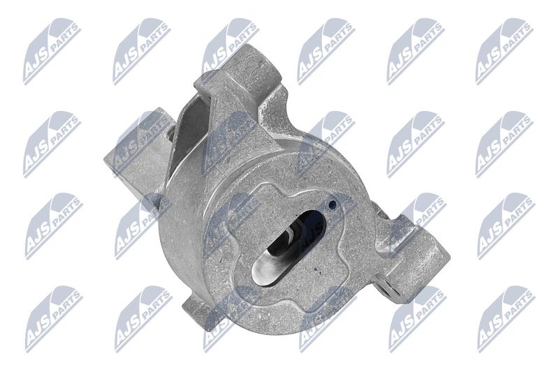 Paigutus, Mootor, NTY ZPS-PE-031