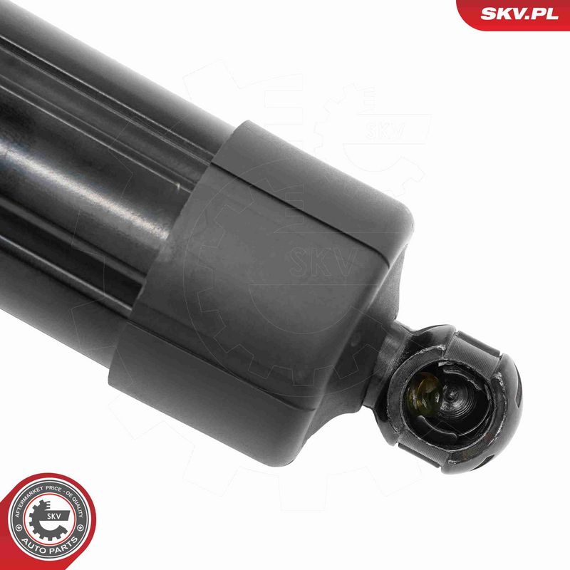 ESEN SKV 52SKV189 Electric Motor, tailgate