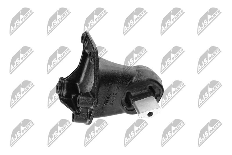 Paigutus, Mootor, NTY ZPS-CH-173