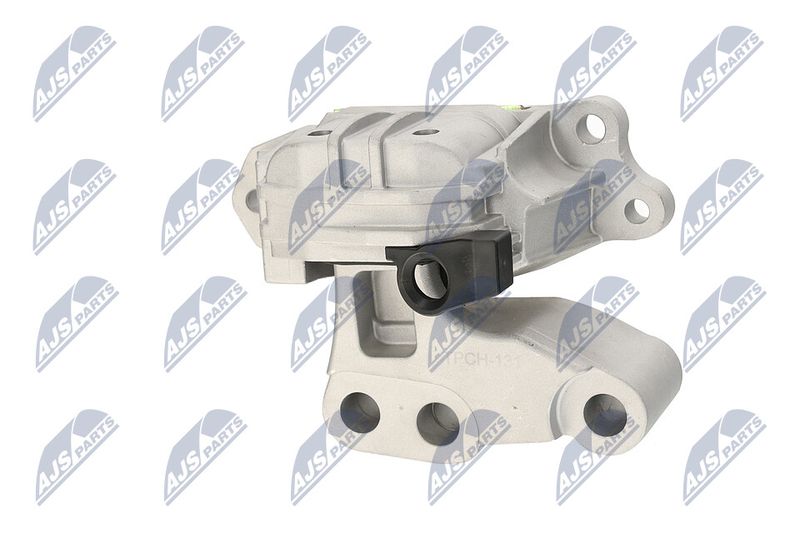 Paigutus, Mootor, NTY ZPS-CH-131