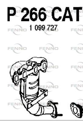 P266CAT.JPG