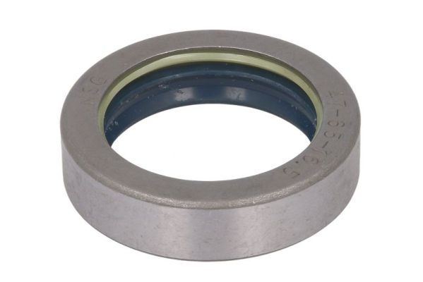 Achteras pruttelt (47x65x16,5mm)
