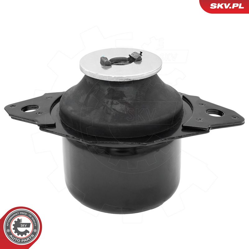 Paigutus, Mootor, ESEN SKV...