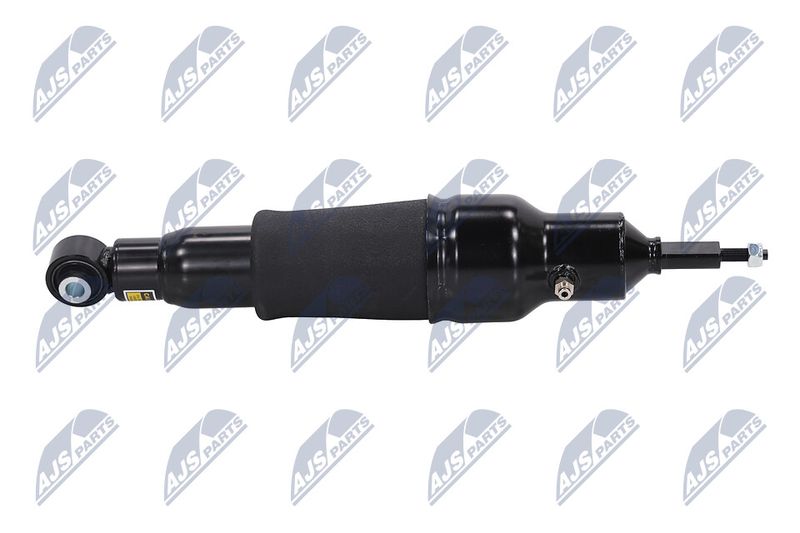 Amort, NTY A-NS-051