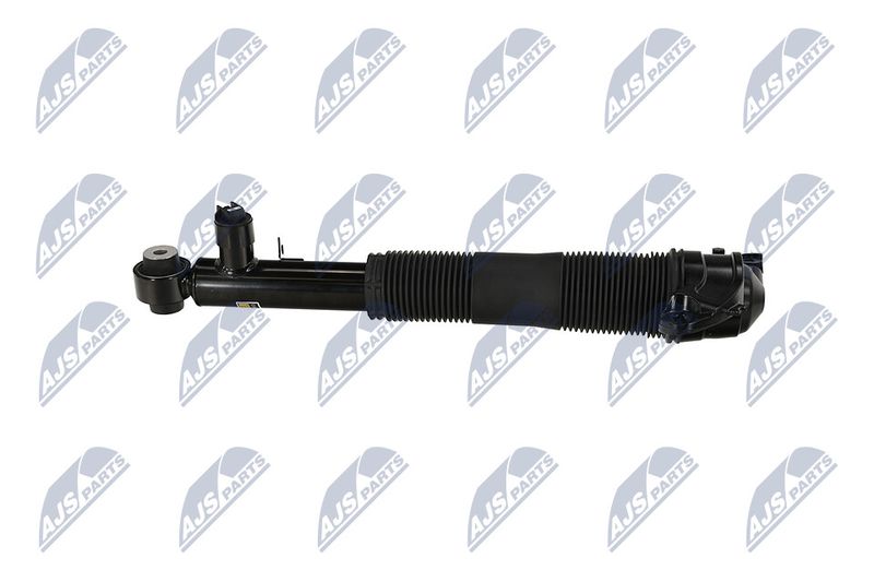 Amort, NTY A-LR-037