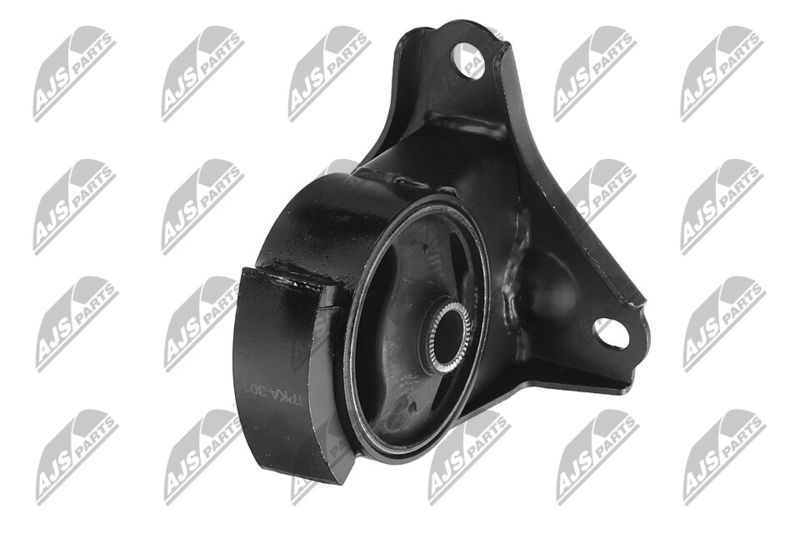 Paigutus, Mootor, NTY ZPS-KA-301