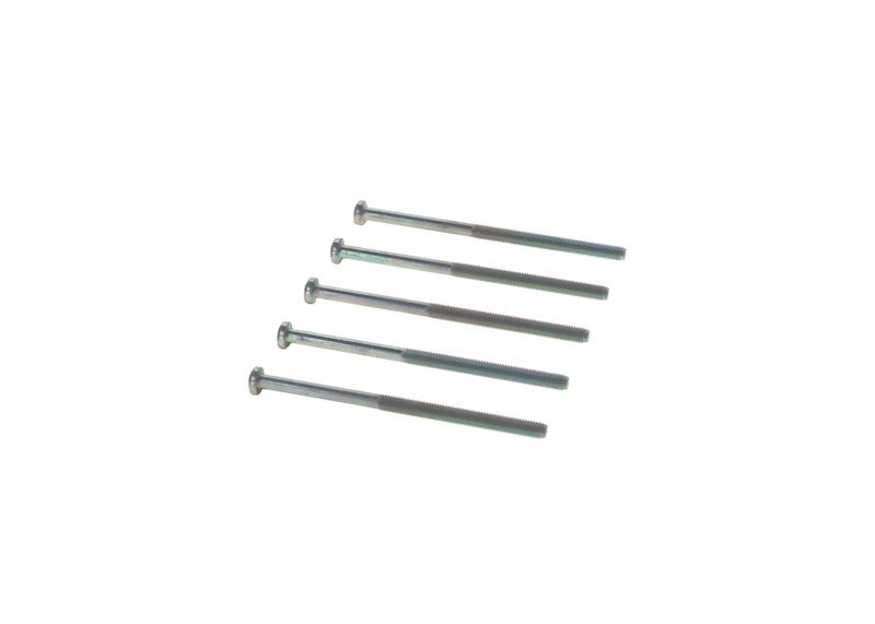 Surub 1 123 429 125 BOSCH