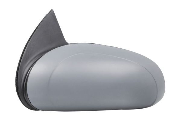 BLIC 5402-04-1125220P Exterior Mirror