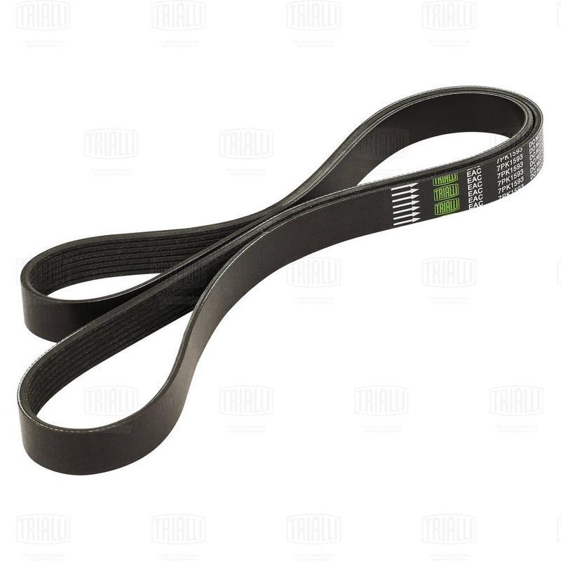 TRIALLI 7PK1593 V-Ribbed Belts