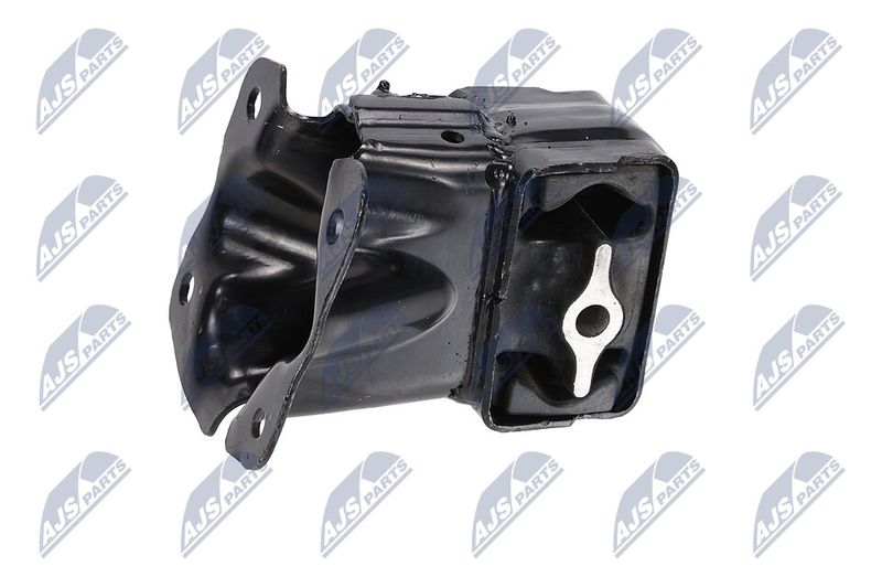 Paigutus, Mootor, NTY ZPS-CH-154