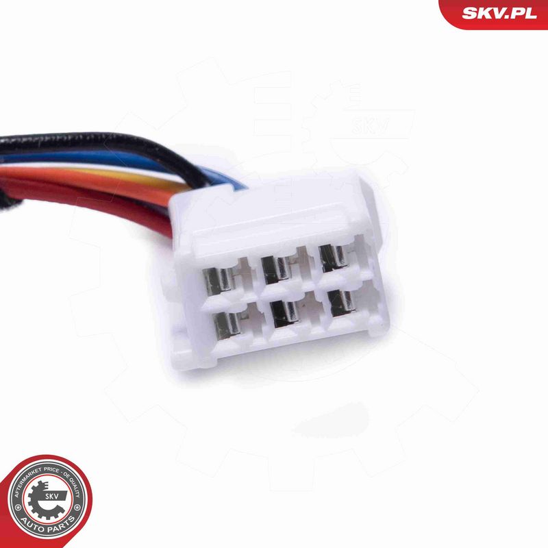 ESEN SKV 52SKV961 Electric Motor, tailgate