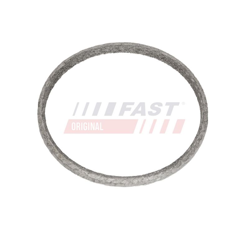 FAST FT14569 - Išmetimo vamzdžio tarpinė