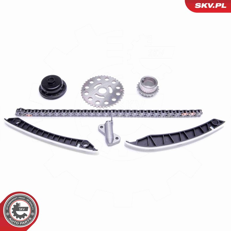 ESEN SKV 21SKV193 Timing Chain Kit