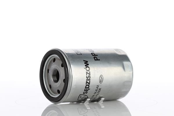 PP464.JPG