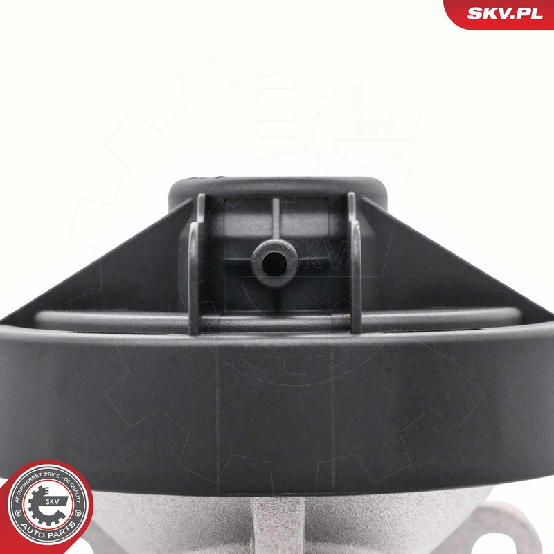 EGR-klapp, ESEN SKV 14SKV298