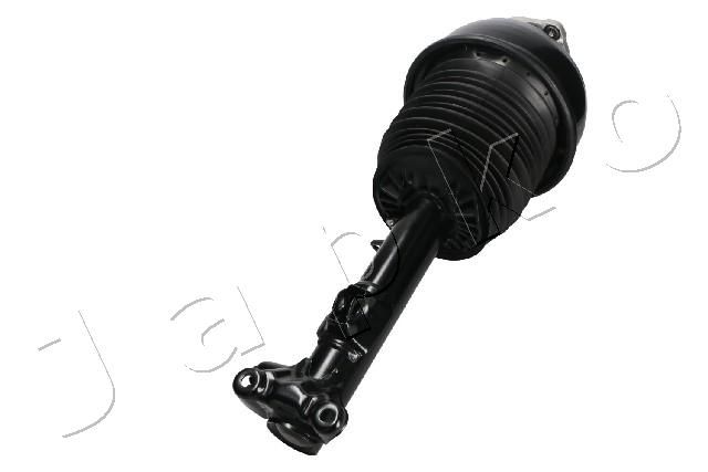 MJAS217_2.JPG