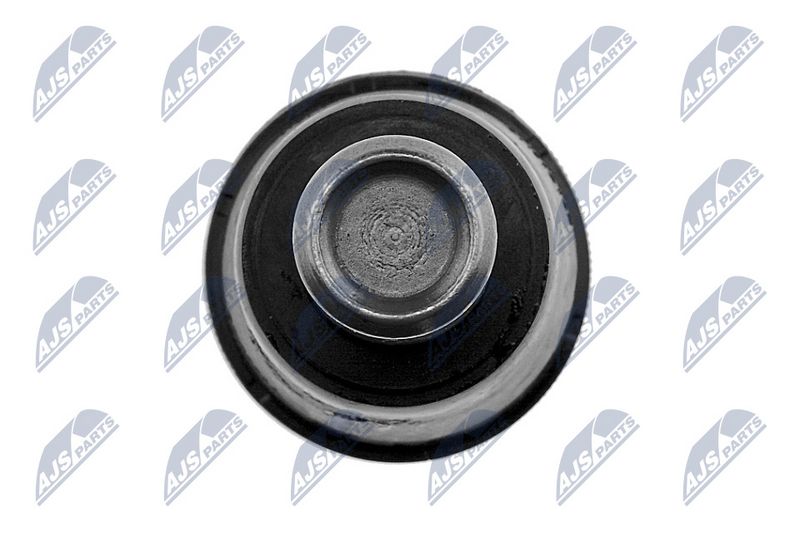 Kande-, juhtliigend, NTY ZSD-MZ-023