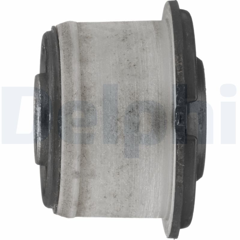 DELPHI TD1256W Bushing, axle beam