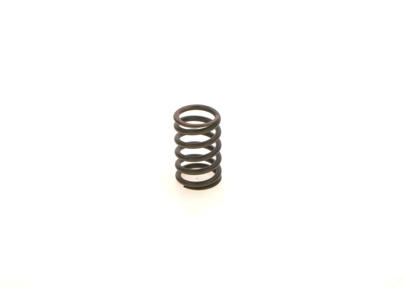 BOSCH 1414619025 Spring
