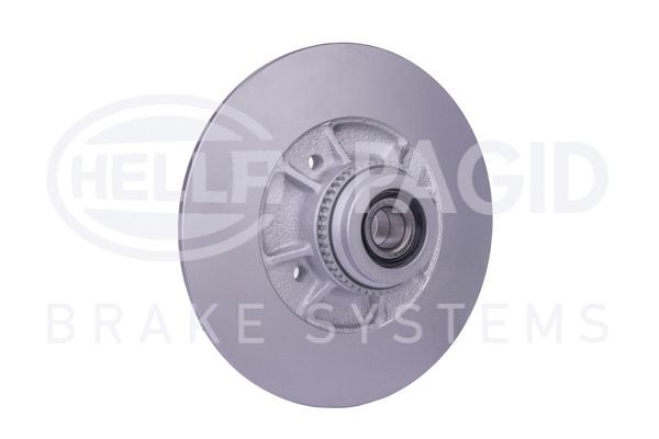 HELLA PAGID 8DD 355 125-161 Brake Disc