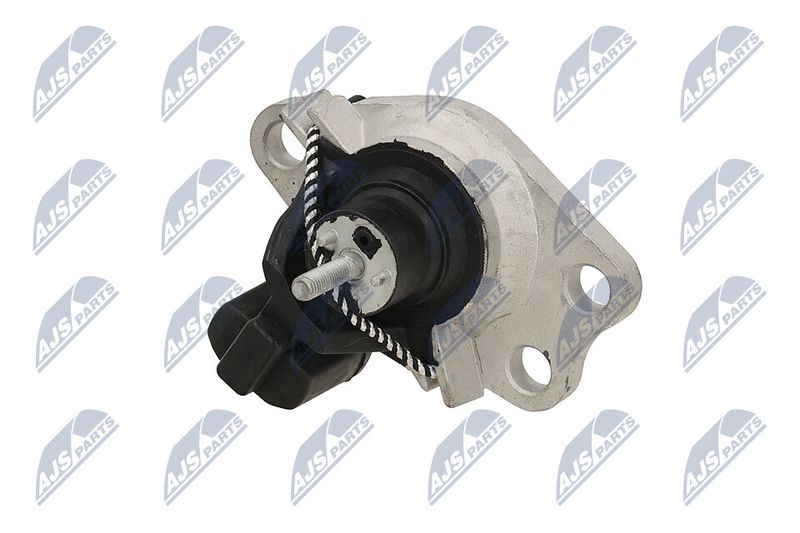 Paigutus, Mootor, NTY ZPS-RE-051