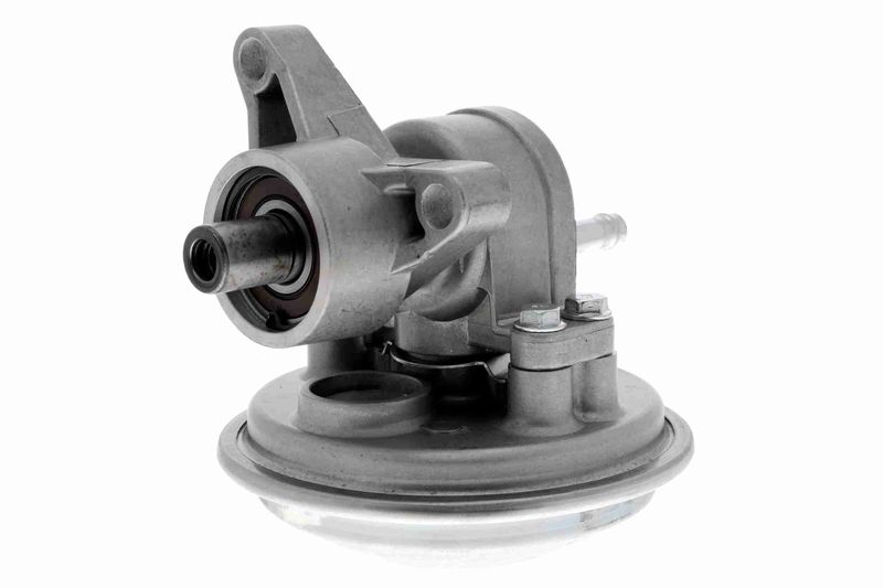 VAICO V25-1908 Mounting, engine