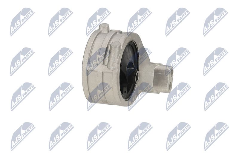 Paigutus, Mootor, NTY ZPS-MS-039