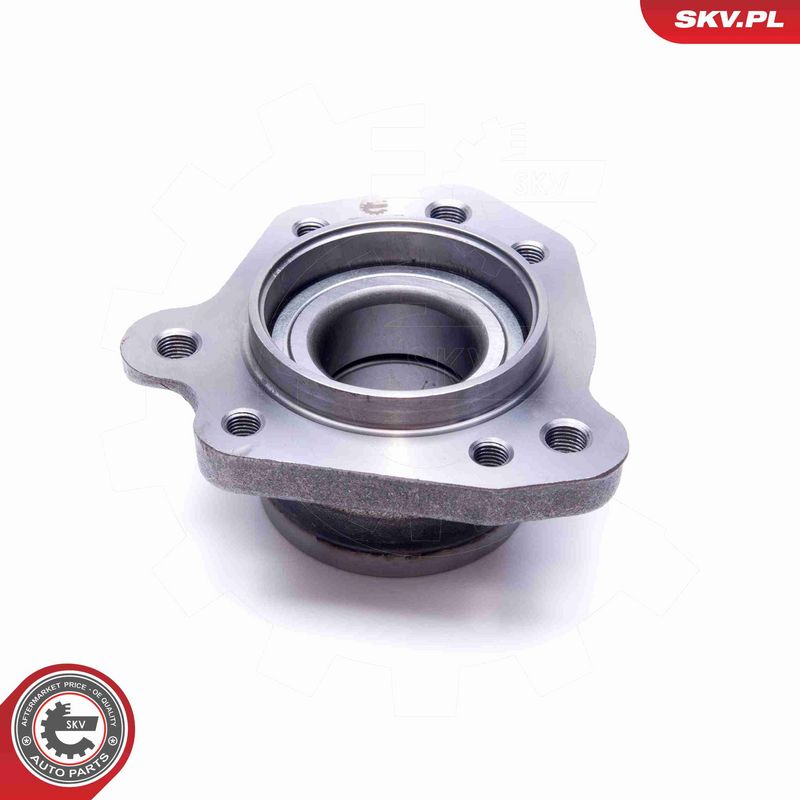 ESEN SKV 29SKV474 Wheel Bearing Kit