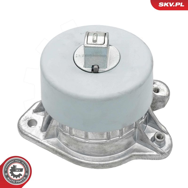 Paigutus, Mootor, ESEN SKV 75SKV127