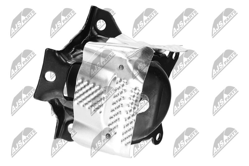 Paigutus, Mootor, NTY ZPS-CH-150