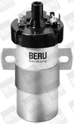 BorgWarner (BERU) ZS124 Ignition Coil
