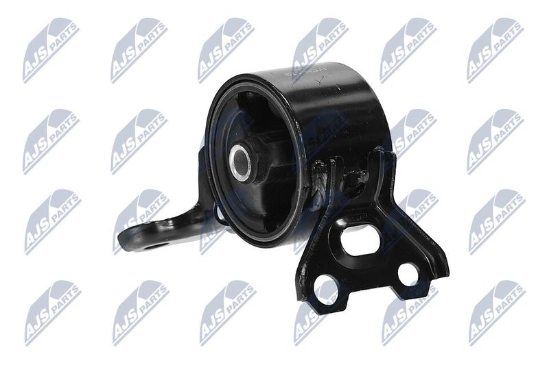 Paigutus, Mootor, NTY ZPS-CH-179