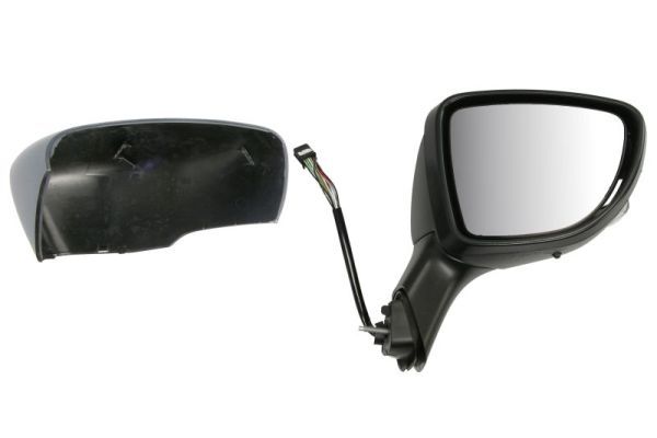 BLIC 5402-09-1922315P Exterior Mirror