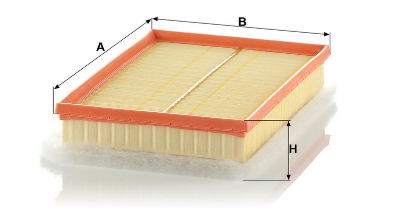 MANN-FILTER C30125/3 Air Filter