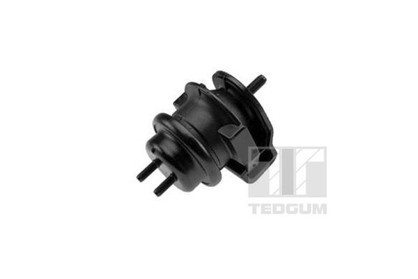 TEDGUM TED95509 Variklio pagalvė